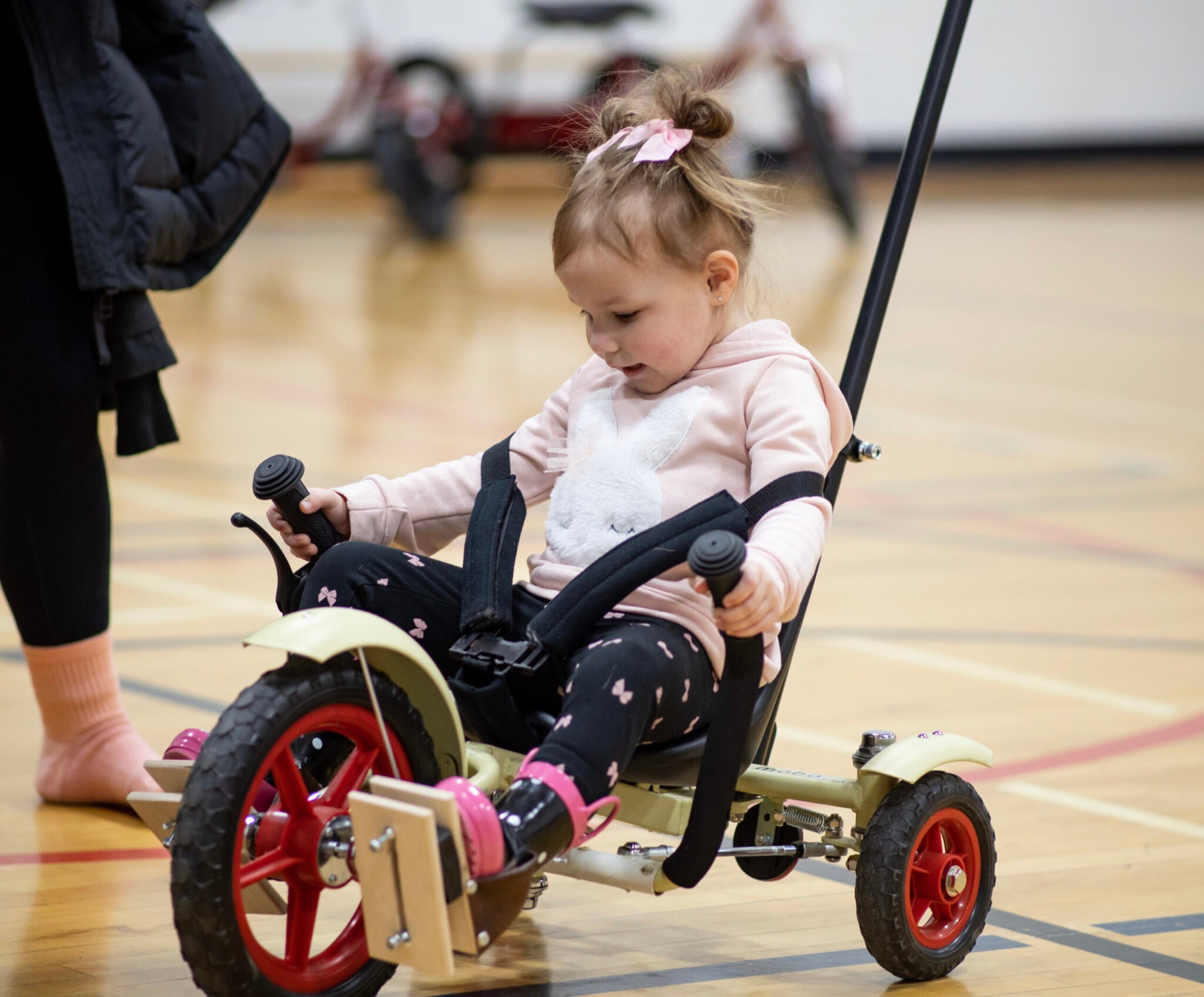 Wood Buffalo You Can Ride 2